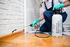 Best Fumigation Services  in Diamond Springs, CA